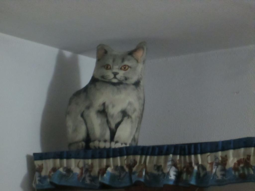 Cat'S House Leilighet Lido di Ostia Rom bilde